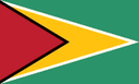 غيانا flag