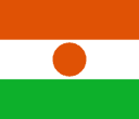 النيجر flag