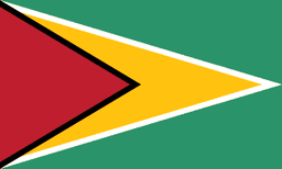 Guyana flag