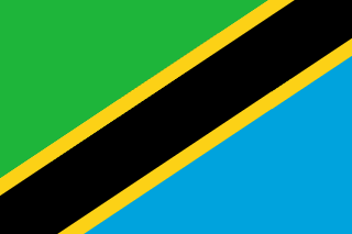 Tanzanya flag